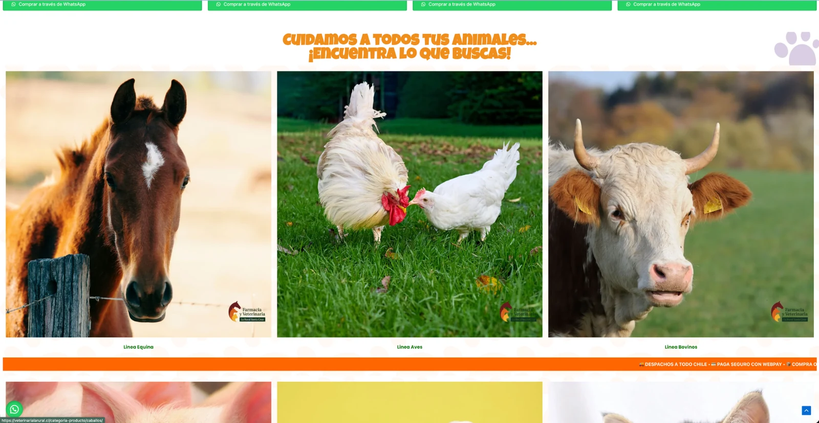 Vista previa del proyecto Veterinaria La Rural
